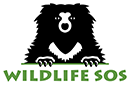 wsos-Bear-Logo-border-85x130-1